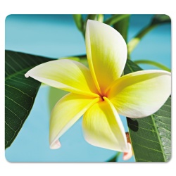 Fellowes Recycled Optical Mouse Pad - Yellow Flower