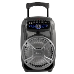 NGS 35W WildGrunge Portable Wireless BT Speaker with built in FM Radio