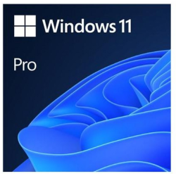 Microsoft Windows 11 Professional 64 Bit DVD - Single Copy