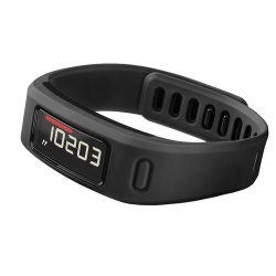 Garmin Vivofit Black Fitness Band