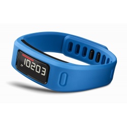 Garmin Vivofit Blue Fitness Band