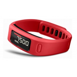 Garmin Vivofit Red Fitness Band
