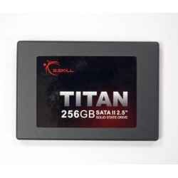 256GB G.Skill Titan High-Speed SSD Solid State Disk (200MB read/160MB write speed)