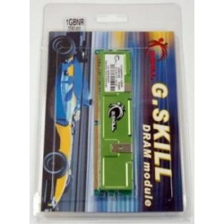 512Mb G.Skill DDR2 PC2-6400 NR Series CL5 Single module