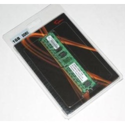 1GB G.Skill DDR2 PC2-4200 CL5 NT Series module