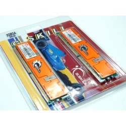 2Gb G.Skill DDR2 PC2-5400 GA Series 3-4-3-8 Dual Channel kit