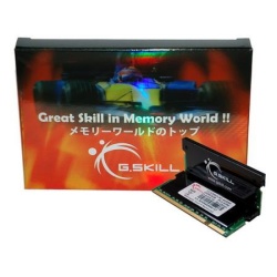 4GB G.Skill DDR2 SO-DIMM PC2-5300 667MHz Dual Channel kit CL5 SK Series w/alu heatsinks