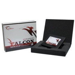 256GB G.Skill Falcon SSD Solid State Disk MLC (64MB cache, 230MB read/190MB write speed)