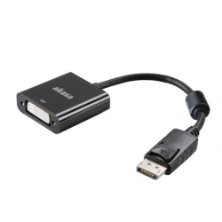 Akasa AK-CBDP15-20BK video cable adapter 0.2 m DisplayPort DVI-I Black