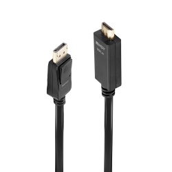 Lindy 1m DisplayPort to HDMI 10.2G Cable