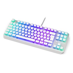 ENDORFY TKL keyboard USB German White