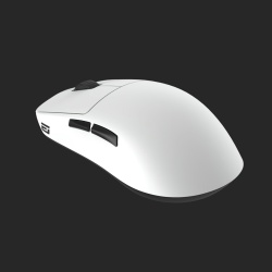 Endgame Gear OP1we mouse Right-hand USB Type-A Optical 19000 DPI