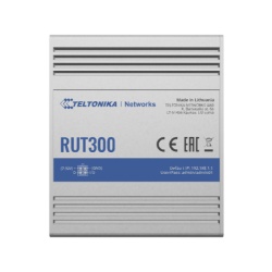 Teltonika RUT300 wired router Fast Ethernet Blue, Metallic