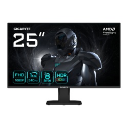 GIGABYTE GS25F2A 25