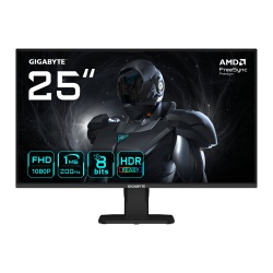 GIGABYTE GS25F2 25