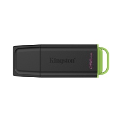 Kingston Technology DataTraveler 256GB Portable USB 3.2 Gen 1 Exodia Black/Green