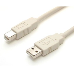StarTech 6ft USB-A to USB-B USB2.0 Printer Cable - Beige