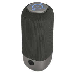 NGS 20W BT Speaker with SD card slot & FM Radio - RollerRocket