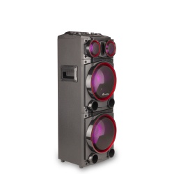 NGS Wild Punk Premium 300W Double 8”  BT Woofer Speaker, FM Radio, USB Port, Aux Input