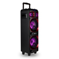 NGS 300W Wireless BT Double 8