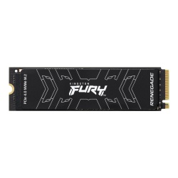4TB Kingston Technology FURY Renegade M.2 PCI Express 4.0 Solid State Drive