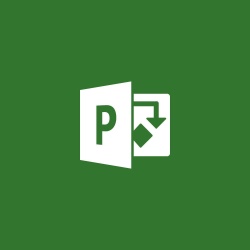 Microsoft Project Standard 2019 (1x license software download)