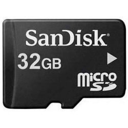 32GB Sandisk microSDHC CL4 memory card w/SD adapter (bulk)