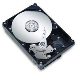 250GB Seagate Barracuda 7200.10 IDE Hard Drive (8MB cache, 7200rpm)
