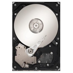 750GB Seagate Barracuda 7200.11 3.5