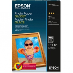 Epson Ledger B 11x17 Glossy Photo Paper - 20 Sheets