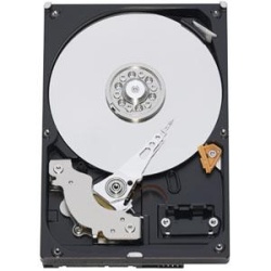 500GB Western Digital Caviar Blue 3.5