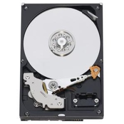 500GB Western Digital AV Series 3.5-inch IDE (PATA) Hard Drive (8MB cache, 7200rpm)