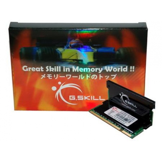 4GB G.Skill DDR2 SO-DIMM PC2-5300 667MHz Dual Channel kit CL5 SK Series w/alu heatsinks Image