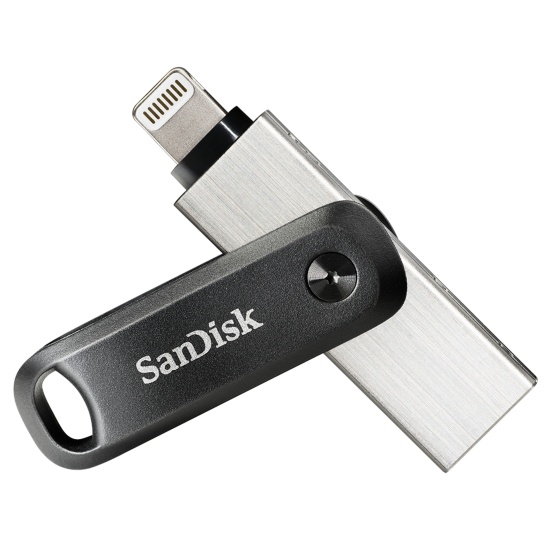 SanDisk SDIX60N-256G-GN6NE USB flash drive 256 GB 3.2 Gen 1 (3.1 Gen 1) Grey, Silver Image