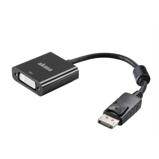 Akasa AK-CBDP15-20BK video cable adapter 0.2 m DisplayPort DVI-I Black Image