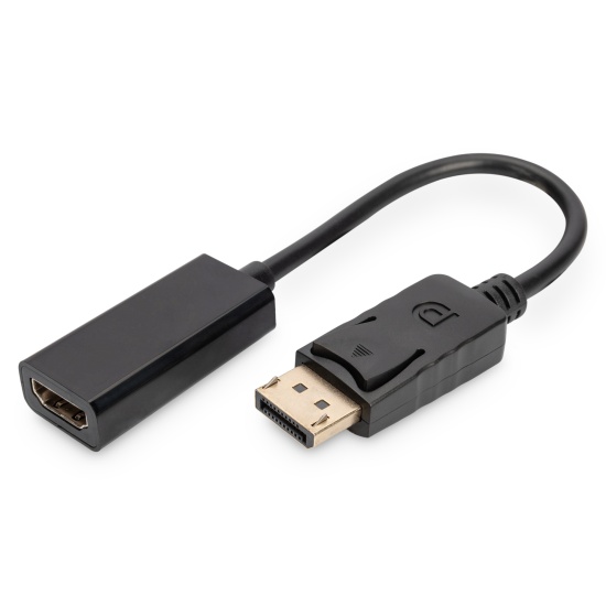 Digitus DisplayPort Adapter / Converter Image