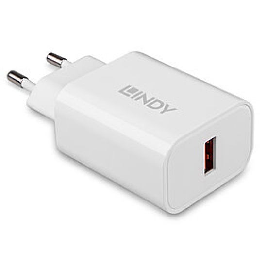 Lindy 73412 mobile device charger Smartphone, Tablet White AC Fast charging Indoor, Outdoor Image