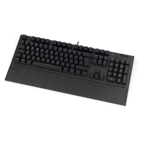 ENDORFY Omnis keyboard USB QWERTZ German Black Image