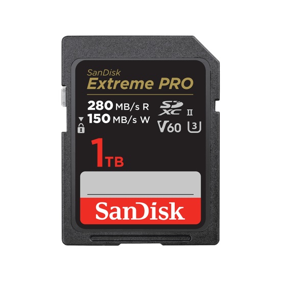 SanDisk SDSDXEP-1T00-GN4IN memory card 1 TB SDXC UHS-II Class 10 Image