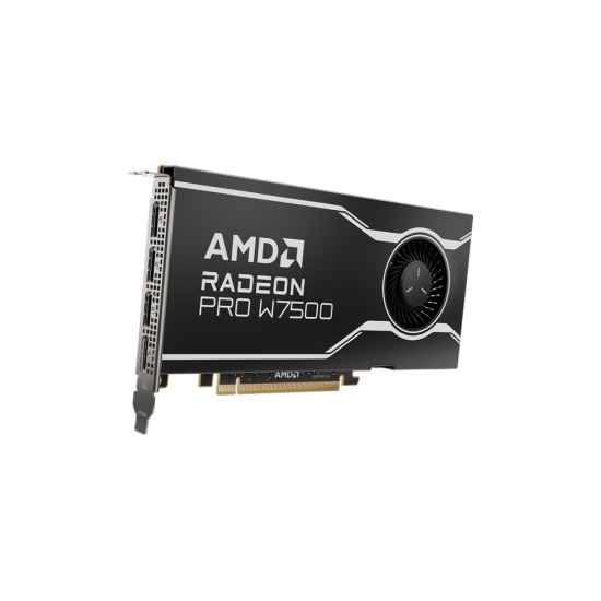 AMD Radeon Pro W7500 8 GB GDDR6 Image