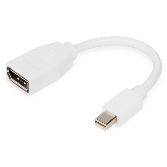 Digitus DisplayPort adapter cable, mini DP - DP Image