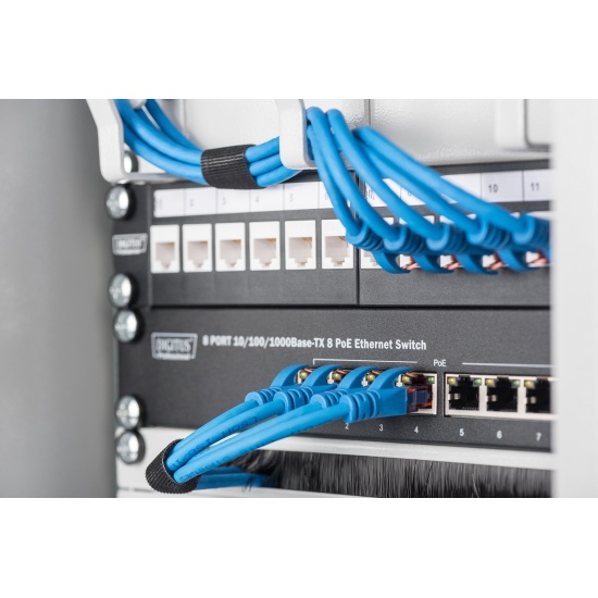 Digitus Modular Patch Panel, 12-port