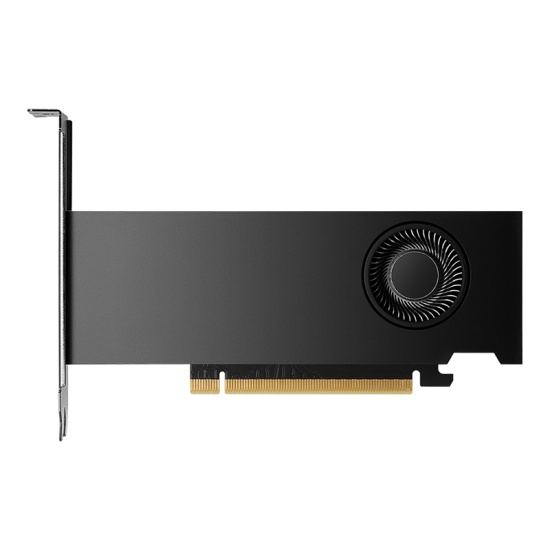 PNY NVIDIA RTX 2000 Ada Generation 16 GB GDDR6 Image