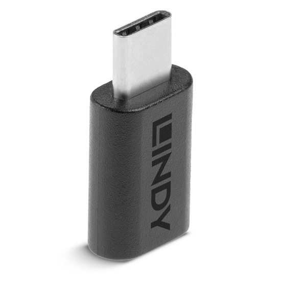 Lindy USB 3.2 Type C to C Adapter Image