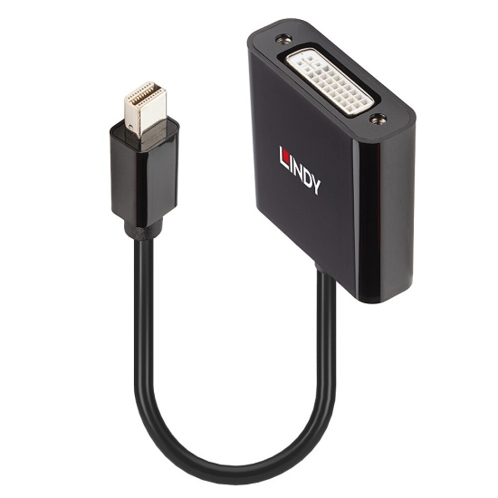 Lindy Mini DisplayPort to DVI Active Converter Image