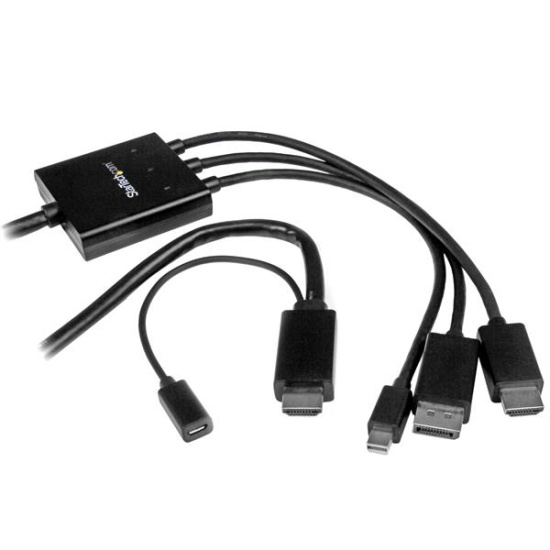 StarTech.com HDMI, DisplayPort or Mini DisplayPort to HDMI Converter Cable - 2 m (6 ft.) Image