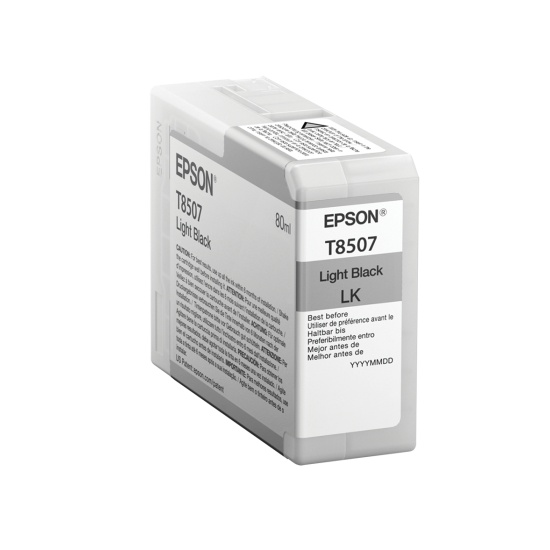 Epson Singlepack Light Black T850700 Image