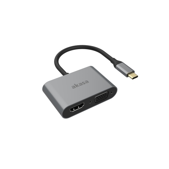 Akasa USB Type-C 2-In-1 Adapter Image