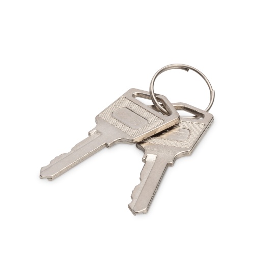 Digitus Keys for loading lockers (trolleys) Image