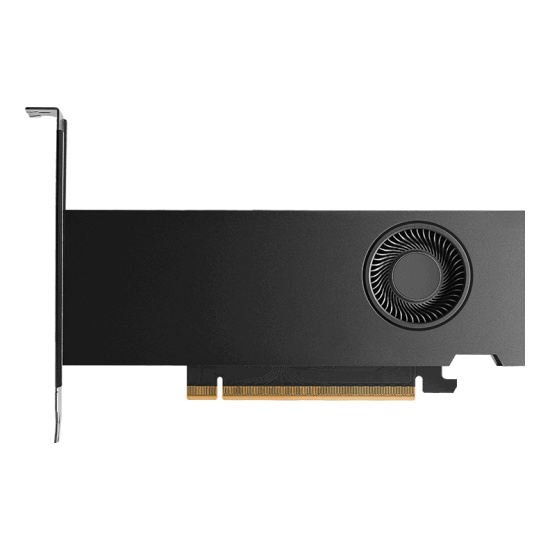 PNY RTX PRO 2000 Blackwell NVIDIA 16 GB GDDR7 Image